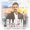 About Baapu Song