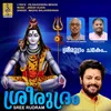 About Sree Rudram Chamakam Song