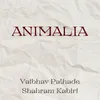 About Animalia Song