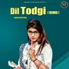 Dil Todgi (Remix)