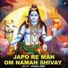 About Japo Re Man Om Namah Shivay Song