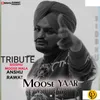 About Tribute Sidhu Moose Wala Song