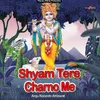 About Shyam Tere Charno Me Song