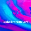 About Islah Slowed Reverb Song