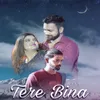 About Tere Bina Song