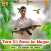About Tero Dil Sona Ko Nagar Song