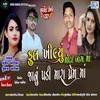 About Phool Khilyu Mota Bag Ma Song