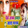 About Deke Jakhm Hamar Jata Sanam Song