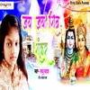 About Jay Jay Shiv Shankar Song