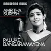 About Phaluke Bangaramayi Song