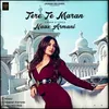 About Tere Te Maran Song