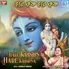 About Hare Krishna Hare Krishna Song