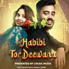 About Habibi Tor Deewana Song