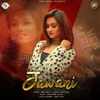 About Jawani Song