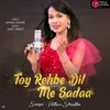 About Toy Rehbe Dil Me Sadaa Song