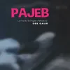 Pajeb