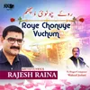About Roye Chonuye Vuchum (feat. Waheed Jeelani) Song