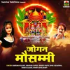 About Paidal Paidal Chalke Agra Song