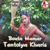 About Bouta Hamar Tentolya Kharis Song