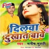 About Dilwa Dukhat Bawe Song