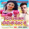 About Dil Lagal Didi Ke Devar Se Song