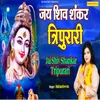 About Jai Shiv Shankar Tripurari Song