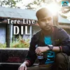 About Tere Liye Dil Song