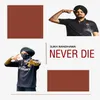 About Never Die Song