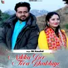 About Nikka Der Tera Bhabhiye Song