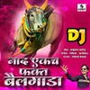 Naad Ekach Fakta Bailgada Dj