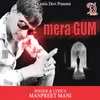About Mera Gum Song