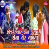 About Hoj Havar Phone Karnari Sena Ver Valya Song