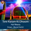 About Tere Karam Ki Dhoom Hai Meera Song