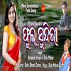 About Phool Sundri Song