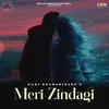 Meri Zindagi