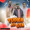 About Tudka Jli Gya Song