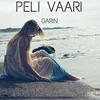 About Peli vaari Song