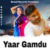 About Yaar Gamdu Song