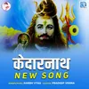 About Kedarnath Song