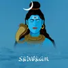 About Shivoham Song