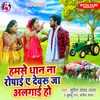 About Hamse Dhan Na Ropai A Devru Ja Alagai Ho Song