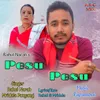 About Pesu Pesu Song