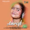 About Amrege Song