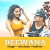 About Deewana Song