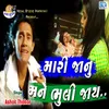 About Mari janu Mane Bhuli Jay Song