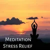 Meditation Stress Relief Track 2