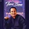 About Tere Bina Slowed + Reverb Song