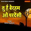 About Tu Hai Bereham Oo Pardesi Song