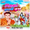 About Reel Wali Bam Song