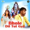 About Bhole Dil Tut Gya Song